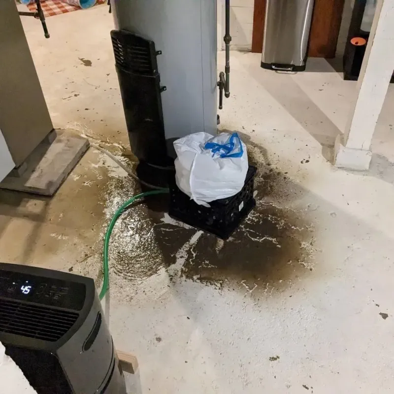 Sewage Backup Cleanup Service in McMinn County, TN